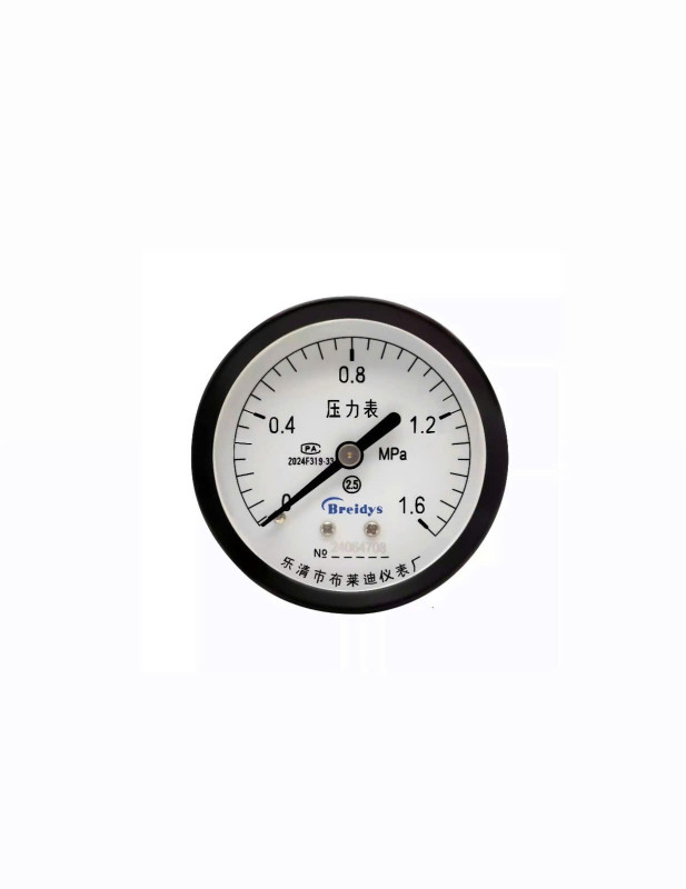 Đồng hồ đo áp suất Y60Z