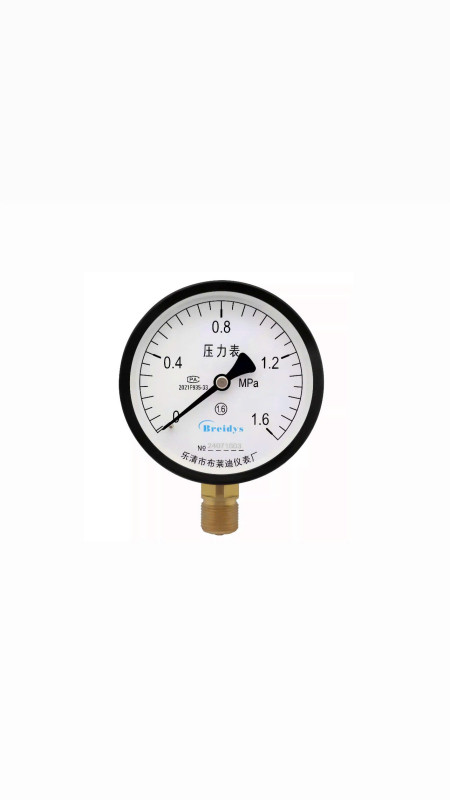 Đồng hồ đo áp suất Y100