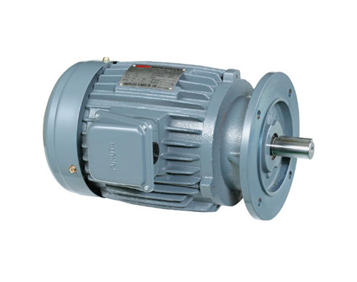 Động cơ 3 pha FUKUTA AEVF 55kW