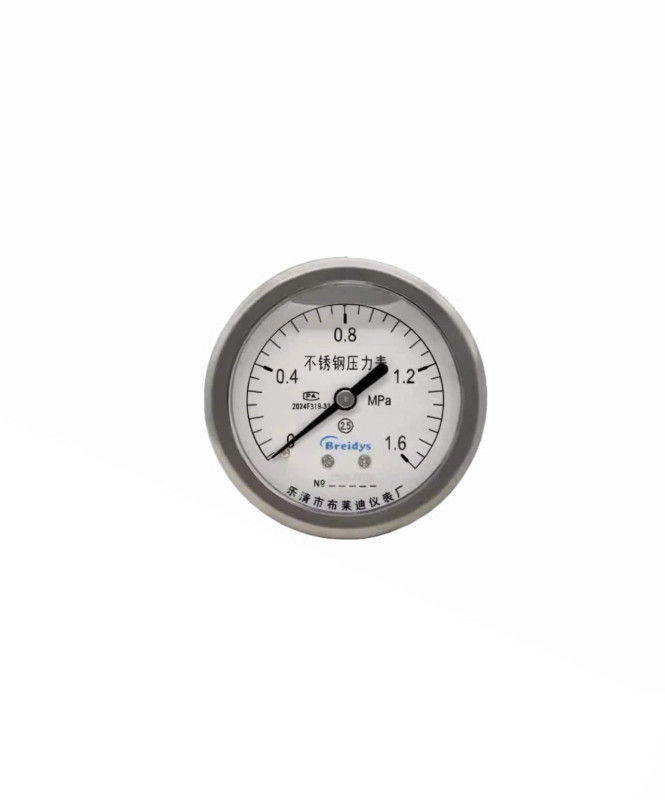 Đồng hồ đo áp suất YN60ZBF